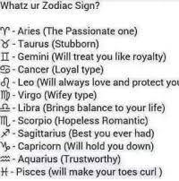 Zodiac traits in sun sign astrology sun sign astrology is very simplified astrology; Whatz Ur Zodiac Sign Aries The Passionate One 8 Taurus Stubborn I Gemini Will Treat You Like Royalty Cancer Loyal Type Leo Will Always Love And Protect Yo Mp Virgo Wifey