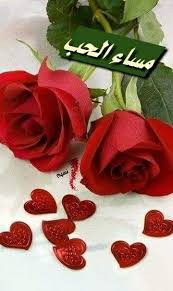 عشقنا ولم نزل إن عشقنا فعذر نا أن في وجهنا نظر مساء الخير مساء الحب لأغلى الناس نسيم arabic love quotes good evening rose