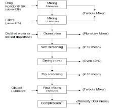 granulation process flow chart granulation ppt granulation