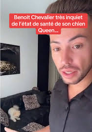 Benoit Crabe La Villa