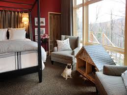 Browse photos of small kitchen designs. 19 Awesome Dog Spaces 5 Dog Treat Recipes Hgtv S Decorating Design Blog Hgtv