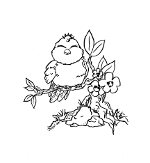Maybe you would like to learn more about one of these? Image Detail For For Kids And Adults Printable Bird Coloring Pages To Print Bird Coloring Pages Bird Coloring Flower Coloring Pages