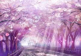 О сайте мы в соц. Sakura Tree Background Anime Night Novocom Top