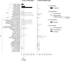 Image result for Sorghastrum stipoides