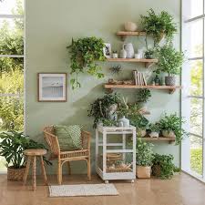 Son muy importantes para la decoración, ya que ayudan a. Ideas Faciles Y Efectivas Para Decorar Con Plantas De Interior Decoracion De Casa Con Plantas Plantas Interior Decoracion Plantas De Interior