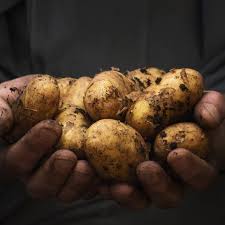 Frühkartoffeln und kurz gelagerte kartoffeln im sommer und herbst kann man mit intakter schale essen. Kartoffel Diat Abnehmen Mit Kartoffeln Geht Das Fit For Fun