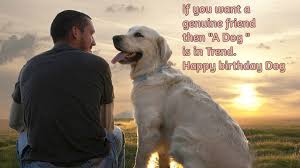 Do you have a favorite dog quote that you don't see here? Pin By Ellie Dog Wear On Dog Quotes Dog Quotes Happy Birthday Dog Cute Happy Birthday