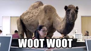 With tenor, maker of gif keyboard, add popular hump day camel animated gifs to your conversations. Woot Woot Hump Day Camels Meme Generator
