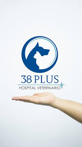 38 PLUS HOSPITAL VETERINARIO