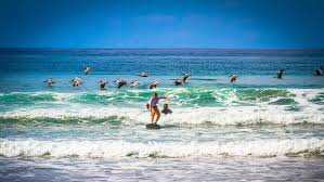 Luxury Adult Surf Camp in Costa Rica - Kalon Surf