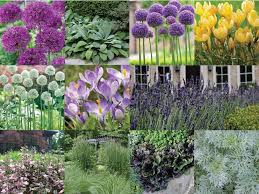 Allium Garden Design By Award Winning Apld Designer Nick Mccullough Create A New Garden Today By Naturalistic Garden Perennial Garden Design Flower Landscape