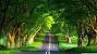 High Quality 1366x768 Hd Wallpapers Nature