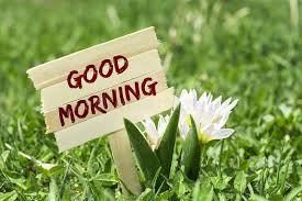 See more ideas about good morning funny, good morning quotes, funny good morning quotes. 100 128 Good Morning Photos Free Royalty Free Stock Photos From Dreamstime