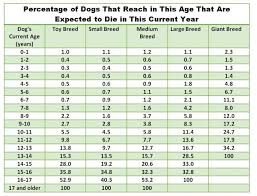 How Long Will Your Dog Live Psychology Today