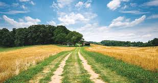 نتیجه جستجوی لغت [country] در گوگل