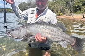 Image result for Premna tanganyikensis