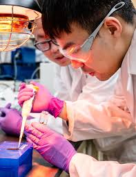 Argonne Partnerships and Outreach FY2024 Report