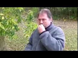 Hackberry, black oak, red cedar. How To Identify Hackberry Tree Wild Edible Berries Youtube