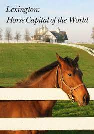 Catch an equestrian competition, like the live oak international in spring. 61 Reasons Lexington Is The Horse Capital Of The World