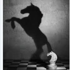 Chess Piece Casting Shadow Conceptual Photography Shadow Photography White Photography