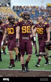 Minnesota wide receiver Aaron Marmer (80), tight end Brandon Lingen (86)  and offensive lineman Luke McAvoy (66) leave the field after the Citrus  Bowl NCAA football game against Missouri in Orlando, Fla.,