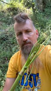 Merriwether's Foraging Texas