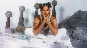 Image result for Nothoperanema