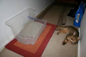 Diy High Side Litter Box Petdiys Com Diy Litter Box Litter Box Litter Tray