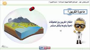 الدورات في الأنظمة البيئية 1 ما دورة الماء ما دورة الكربون خامس Youtube