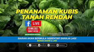 Pada permen tersebut pun disebutkan bahwa jabatan fungsional guru terdiri dari 4 jenis mulai terendah sampai tertinggi, yaitu guru pertama, guru muda, guru madya, dan. Jabatan Pertanian Malaysia Home Facebook