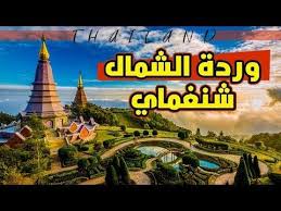 افضل الاماكن السياحية في تايلاند وردة الشمال شنغماي Chiang Mai In Tha Tourism Chiang Mai Things To Do
