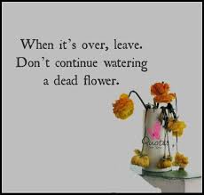 She loves their fragrance and the petal colours. Don T Water Dead Flowers Be Yourself Quotes Quotable Quotes Quotes