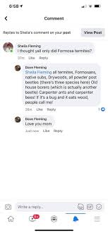 Absolute pest control has you covered. Absolute Termite Control Posts Facebook