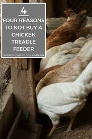 Share to twitter share to facebook share to pinterest. The Problems With A Treadle Chicken Feeder Dine A Chook