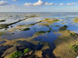 From trickle to torrent: What's up with water levels at Everglades National  Park (U.S. National Park Service)