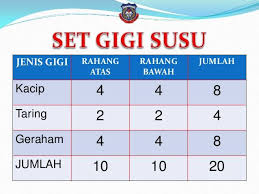 Download lagu nota tahun 3 sains kssr mp3 dapat kamu download secara gratis di metrolagu. Nota Padat Sains Tahun 6 Home Facebook