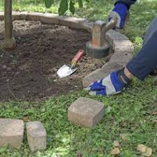 Rundum Nutzlich So Legen Sie Eine Baumscheibe An In 2020 Unkrautstecher Rasenkanten Ideen Rasenkanten