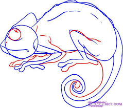 How To Draw A Chameleon Step By Step Reptiles Animals Free Online Drawing Tutorial Added By Dawn January 26 200 Drawing Tutorial Online Drawing Drawings