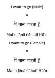 How To Say I Want To Go In Hindi Good Vocabulary Words Hindi Language Learning Good Vocabulary