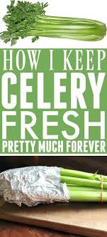 When stored at 32 degrees fahrenheit, with humidity levels of between 98 and 100 percent, celery can stay fresh for two to three months. How To Keep Celery Fresh The Creek Line House Keep Celery Fresh How To Keep Celery Fresh Fruit And Vegetable Storage