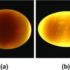 Typical Color Images Of Duck Egg Samples A From Sy Egg