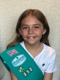 Healy, North Pole, Nome lay claim to state's top Girl Scout cookie sellers 