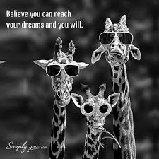 Love This Quote The Giraffes In Sunglasses Make My Day Giraffe Quotes Cute Quotes Meant To Be Quotes Giraffe quotes for instagram plus a list of quotes including i stay higher than giraffe pussy. giraffe quotes cute quotes meant