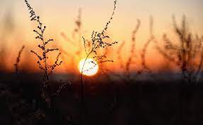 The 2021 summer solstice arrives at 11:32 p.m. Summer Solstice 2021 10 Facts About The Longest Day Of The Year Silive Com