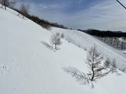 年末 年始 スキー 場 空い てる