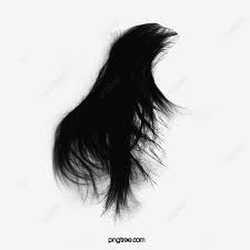 Elegant Scattering Hair Brush Effect Hair Clipart Elegant Flowing Hair Png Transparent Clipart Image And Psd File For Free Download Hair Brush Hair Clipart Ink Brush