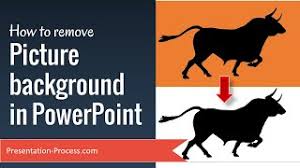 How To Remove Picture Background In Powerpoint Youtube By removing the backgrounds from images you include, you can keep your presentation looking clean and crisp.