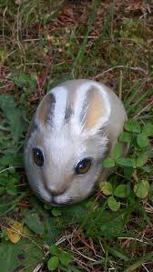 Best Animal Painted Rocks For Beginner Rock Painters How To Paint Rocks Animalrockart Animal Painted Rock Animals Rock Painting Art Rock Painting Designs