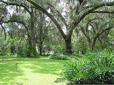 If you're not sure about our services, just check some of. 9 Beautiful Dade City Florida Ideas Dade City Florida Dade