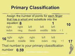 Fingerprints The Basics T Trimpe Ppt Video Online Download